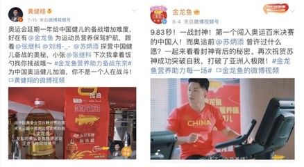 分析金龙鱼品牌的内涵：金龙鱼品牌不仅是一个普通的食用油品牌，其品牌内涵分析