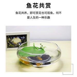 玻璃园鱼缸价格多少：如何选择合适的玻璃园鱼缸？ 鱼缸百科 第3张