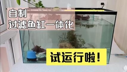 大鱼缸制作方法视频：大型鱼缸制作方法