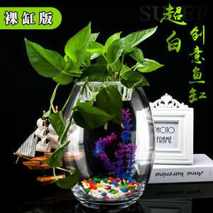 超白金晶玻璃鱼缸：超白金晶玻璃鱼缸价格 鱼缸百科 第3张