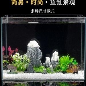 矮鱼缸造景：如何进行矮鱼缸造景 鱼缸百科 第4张