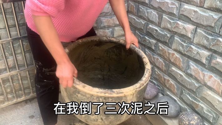 不用换水的生态鱼缸的制作方法有哪些 鱼缸百科 第2张