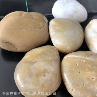 川沙哪里有卖鱼缸的地方：上海卖鱼缸的地方 鱼缸百科