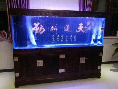 大城鱼缸厂家：大城县位吉天诚水族用品厂和汇祥水族生活馆-高端鱼缸设计定制中心 鱼缸百科 第1张