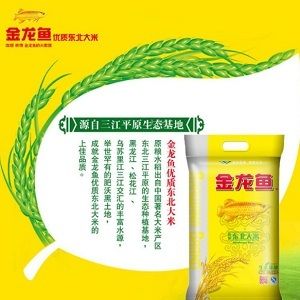 金龙鱼的来历：中国小包装食用品牌金龙鱼的来历