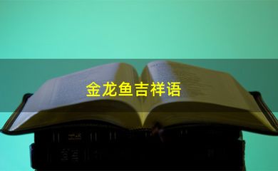 金龙鱼吉祥语是什么生肖