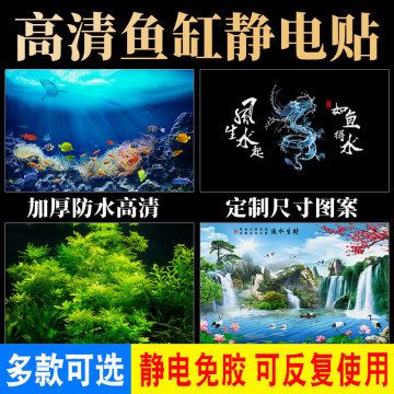 定做观赏鱼缸多少钱：定做观赏鱼缸价格受多种因素影响 鱼缸 第3张