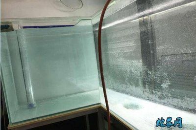 玻璃鱼缸怎么制作过程视频：如何自制玻璃鱼缸 鱼缸 第3张