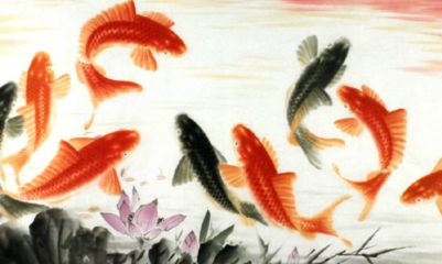形容龙鱼的诗句：关于龙鱼的诗句 龙鱼百科 第3张