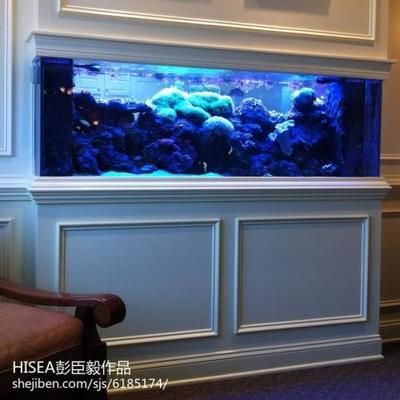 大型海水鱼缸视频：与大型海水鱼缸视频相关的推荐内容应该能满足您对于大型海水鱼缸视频的需求 鱼缸 第4张