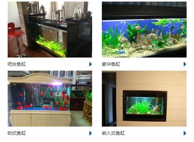 成品鱼缸推荐品种：成品鱼缸品牌推荐推荐：水猎人鱼缸品牌推荐