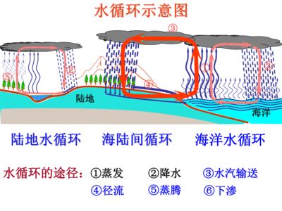 大型鱼缸水循环示意图高清：关于鱼缸水循环系统的一般信息 鱼缸百科 第4张