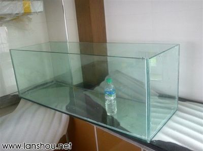 玻璃鱼缸漏水怎么处理最好：玻璃鱼缸漏水的处理方式