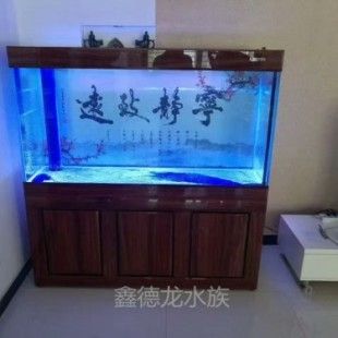 爱宝鱼缸厂家：快速访问深圳爱宝有限公司:魚缸,寵物用品