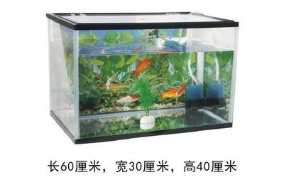 1.20.40.6鱼缸容积：如何计算鱼缸的容积 鱼缸百科 第1张