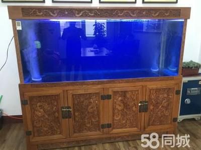 大型鱼缸用什么消毒好：高温暴晒、高锰酸钾溶液是一种常用的消毒剂可以提高消毒效果 鱼缸百科 第1张