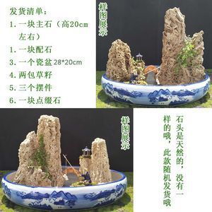 瓷盆鱼缸造景图：关于瓷盆鱼缸造景的一些信息 鱼缸百科 第4张