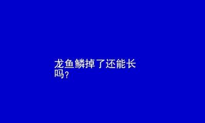 龙鱼的鱼鳞掉了一个可以恢复吗：龙鱼的鱼鳞掉了一个可以恢复吗龙鱼的鱼鳞掉了一个可以恢复吗