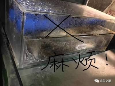 别人送的旧鱼缸有啥忌讳的：别人送的旧鱼缸不能随意送给别人 鱼缸百科 第3张