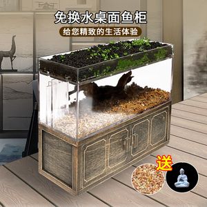 斗鱼鱼缸布置：关于斗鱼鱼缸布置的建议 鱼缸百科 第4张