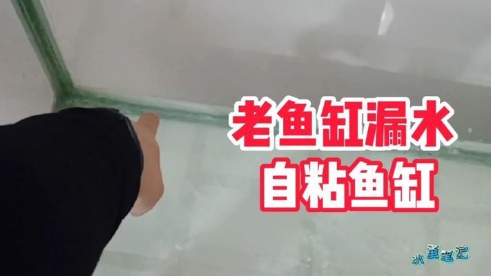 大鱼缸漏水了人进不去怎么修补视频：大鱼缸漏水怎么办？ 鱼缸百科 第4张