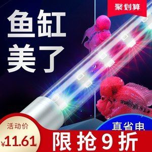 金龙鱼用什么灯管好看：金龙鱼用什么灯管好看金龙鱼灯管好看