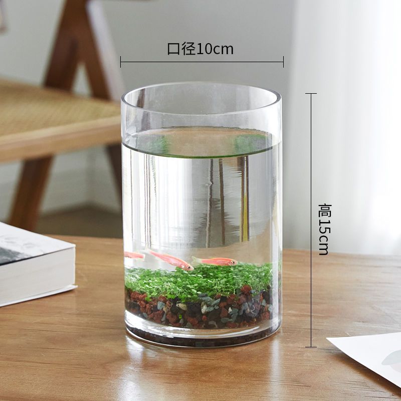 玻璃瓶鱼缸鱼能活多久：玻璃瓶鱼缸中的鱼能活多久