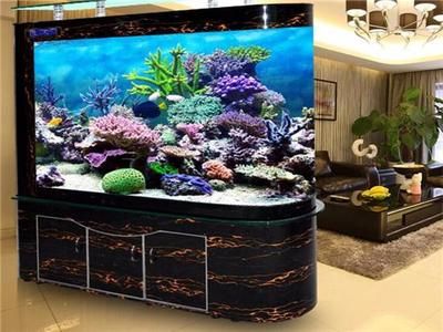 大型鱼缸品牌推荐：大型鱼缸品牌推荐森森sunsun、闽江水族minjiang 鱼缸百科 第1张