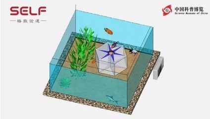 10mm玻璃鱼缸极限：10mm厚的玻璃可以用于制作100×40×50容积的鱼缸极限尺寸
