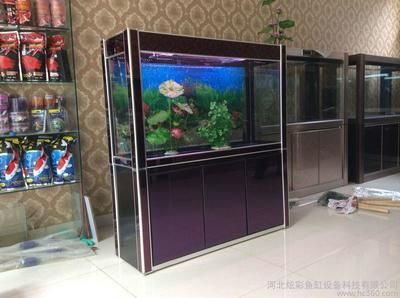 大型亚克力鱼缸定制厂家直销：上海科梦水族科技供应大型亚克力鱼缸定制厂家 鱼缸百科 第3张