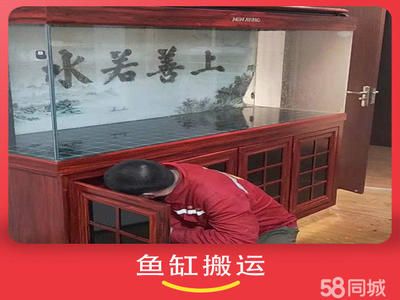 搬家时鱼缸如何进行搬运工作呢：搬家时鱼缸搬运工作需要细心策划和专业操作和注意事项