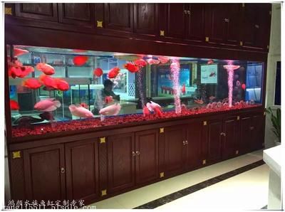 超大鱼缸多少钱：武汉超大型亚克力鱼缸价格