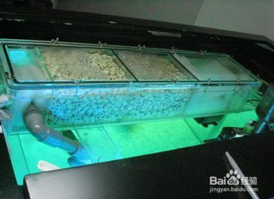 玻璃鱼缸玻璃胶多久能干：如何去除鱼缸玻璃胶