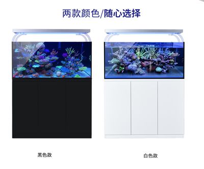 超白鱼缸金晶玻璃好吗：玻璃家族的“水晶王子”——金晶超白玻璃 鱼缸百科 第3张