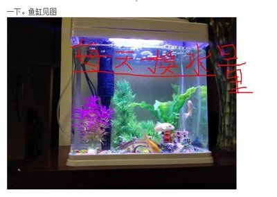 大鱼缸无法困水怎么换水：大鱼缸换水的正确方法 鱼缸百科 第2张