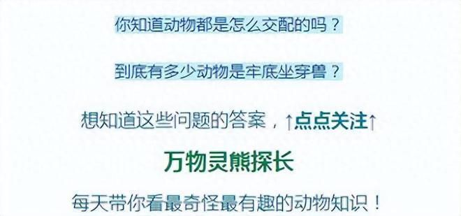 龙鱼最高拍卖价：龙鱼最高拍卖价,根据搜索结果，龙鱼拍卖价并没有一个确切的数字