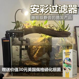 草缸和鱼缸哪个好看：在水族领域，草缸和鱼缸各有其独特的魅力和美感 鱼缸百科 第1张