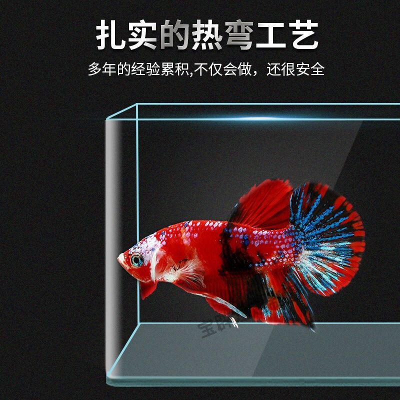 承包酒店鱼缸合同模板：如何制定承包酒店鱼缸合同 鱼缸 第2张