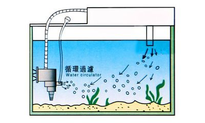 插电鱼缸怎么使用水泵：使用插电鱼缸水泵的步骤