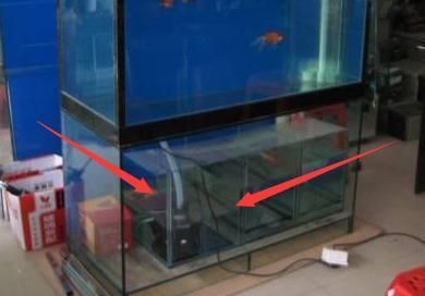 瓷砖制作鱼缸过滤槽：如何使用瓷砖制作鱼缸过滤槽