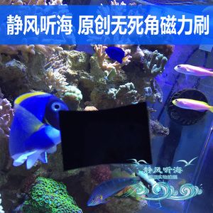 擦鱼缸用什么布：擦鱼缸时选择正确的清洁工具和布料是非常重要的 鱼缸百科 第3张