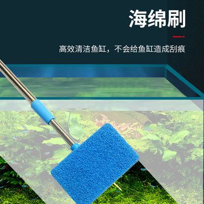 擦鱼缸用什么布：擦鱼缸时选择正确的清洁工具和布料是非常重要的