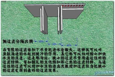 侧过滤鱼缸制作：侧过滤鱼缸怎么做？ 鱼缸百科 第3张