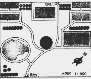 大苏打放鱼缸的比例是多少：大苏打在鱼缸中的作用 鱼缸百科 第1张