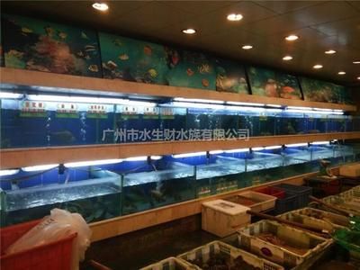 广州大型水族市场有哪些