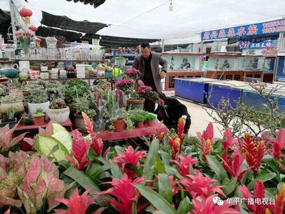 广州百艺城花鸟市场好停车吗多少钱一天：广州百艺城花鸟市场免费停车