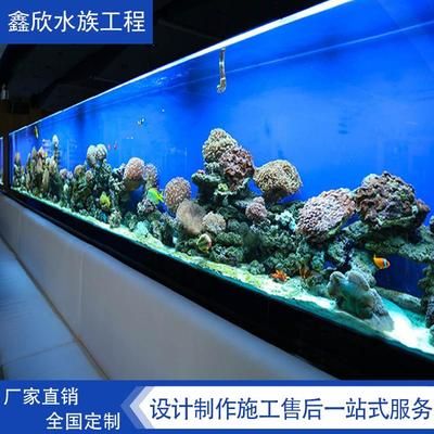 大型鱼缸设计施工：大型鱼缸设计施工注意事项 鱼缸百科 第1张