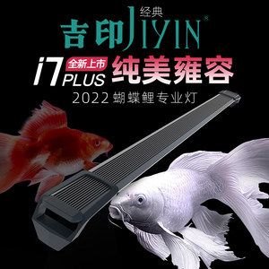 蝴蝶鲤鱼缸用什么灯好：i7plus-蝴蝶鲤鱼缸灯选择鱼缸灯的选择 鱼缸风水 第2张