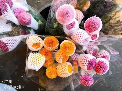 广州芳村花卉世界：广州芳村花卉世界是什么？ 广州水族批发市场 第1张