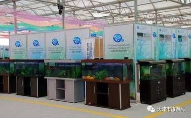 观赏鱼博览中心官网：广州观赏鱼博览中心官网 广州水族批发市场 第1张